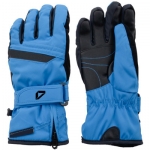 Ski Gloves